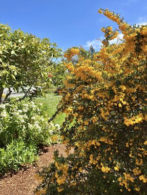 Greenbank Farm by null