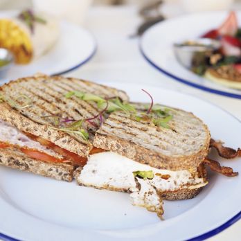 Blueys Kitchen - Fried Egg Sandwich - Cafes Near Me - Santa Monica, California Blueys Kitchen - Fried Egg Sandwich - Cafes Near Me - Santa Monica, California