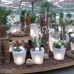 Blumen Risse