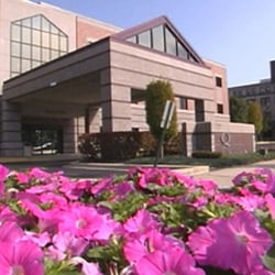 Eye and Vision Institute