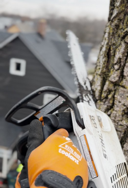 Buffalo Tree Soldiers - tree service in Buffalo, NY