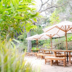 Located in the heart of the Garden, Jewell Terrace is a serene & intimate space for small gatherings.