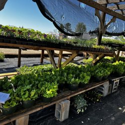 Seven Sisters Farm