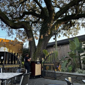Casbah Cafe - Middle Eastern Near Me - Jacksonville, Florida Casbah Cafe - Middle Eastern Near Me - Jacksonville, Florida