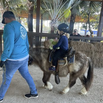 Pinto's Farm - Pony ride - Venues & Event Spaces Near Me - Miami, Florida