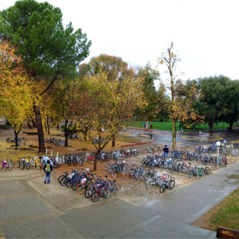 UC Davis Olson Hall - Colleges & Universities Near Me - Davis, California UC Davis Olson Hall - Colleges & Universities Near Me - Davis, California