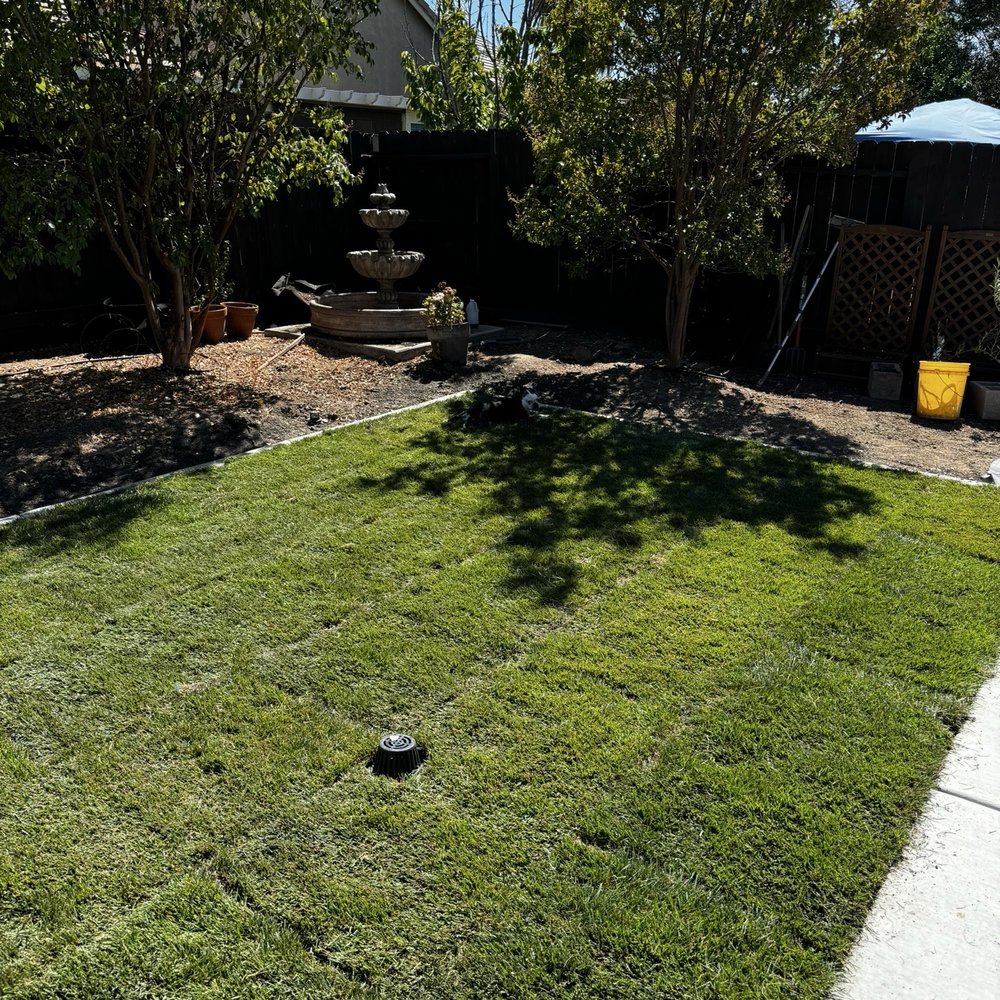 Total Landscape Concepts - New back lawn with concrete border and sod - Irrigation Near Me Total Landscape Concepts - New back lawn with concrete border and sod - Irrigation Near Me