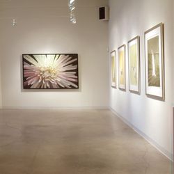 Tory Folliard Gallery