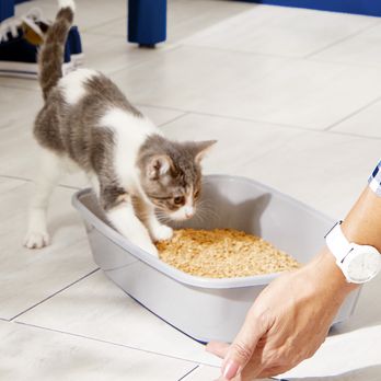 Petco - Pet Stores Near Me - Sparks, Nevada Petco - Pet Stores Near Me - Sparks, Nevada