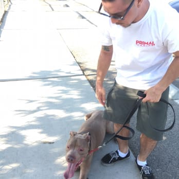 K9 Logic Dog Training - Pet Training Near Me - Glendale, California