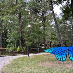 Azalea Park