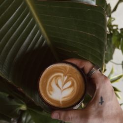 Eden Plant - Everyday is a good day with Plants + Coffee