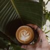 Eden Plant gift card