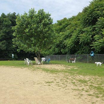 Kohl Memorial Park - Dog park. - Parks Near Me - Harrisburg, Pennsylvania