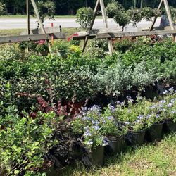 Country Wagon Farm Market