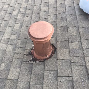 Creature Catchers - Pest Control Near Me