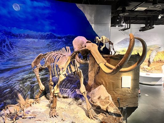 Royal Tyrrell Museum by null