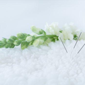 Ease and Balance Acupuncture - Acupuncture Near Me - New York, New York Ease and Balance Acupuncture - Acupuncture Near Me - New York, New York