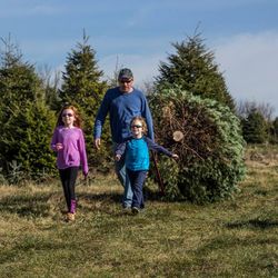 Perfect Christmas Tree Farm - Making memories that last a lifetime
