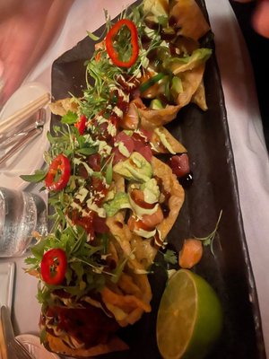 LoLa 41 Palm Beach by null