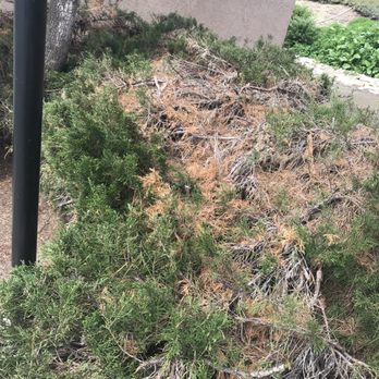 Curtis Management Company, Inc - Never any clean up. Just mow. Blow - Property Management Near Me - Carlsbad, California Curtis Management Company, Inc - Never any clean up. Just mow. Blow - Property Management Near Me - Carlsbad, California