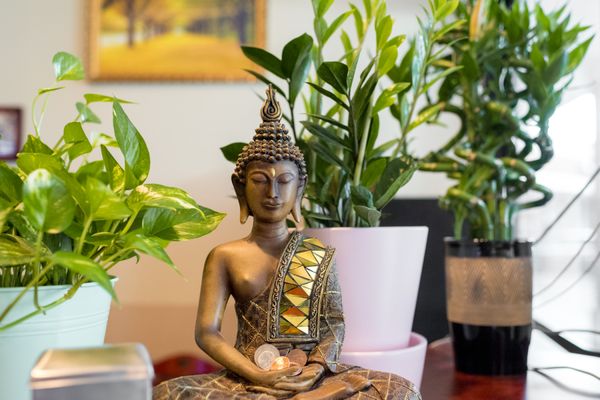 Basil Thai--Hot Pot &Thai by null