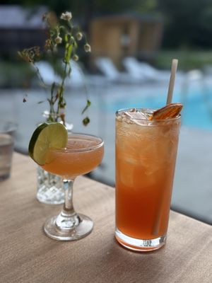 Dandelion - Restaurant by null