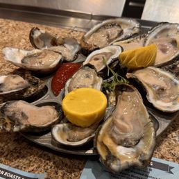 Dozen oysters Dozen oysters