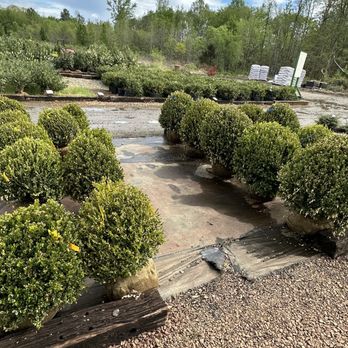 Colesville Nursery - Nurseries & Gardening Near Me - Ashland, Virginia