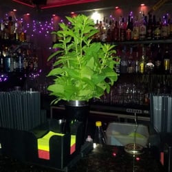 Guanxi Bar