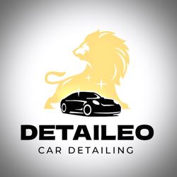 Detaileo