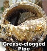 Slide of Timber Wolff's Plumbing