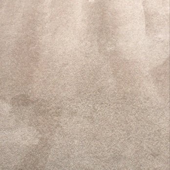 Primary Pacific Cleaning - Beautiful clean carpet lines - Home Cleaning Near Me