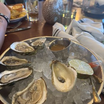Otto’s High Dive - Raw Oysters - Cocktail Bars Near Me - Orlando, Florida Otto’s High Dive - Raw Oysters - Cocktail Bars Near Me - Orlando, Florida