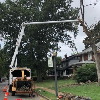 Chattanooga Kingz Tree Service - Tree Services Near Me Chattanooga Kingz Tree Service - Tree Services Near Me