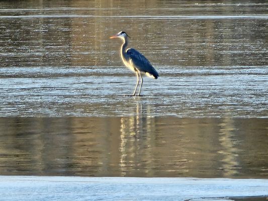 Caesar Creek State Park by null