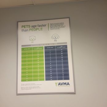 Howard Beach Animal Clinic - Veterinarians Near Me - Howard Beach, New York Howard Beach Animal Clinic - Veterinarians Near Me - Howard Beach, New York