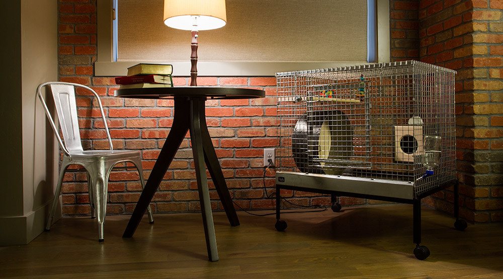 QUALITY CAGE CRAFTERS Updated October 2024 28 Reviews 2190