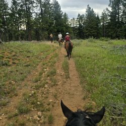 Duck Creek Horse Rides - Between the Ears