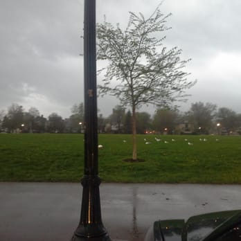 Front Park - Rainy day at front park... soccer game canceled ew. Should have stayed at the CMYE!!! At least the ducks are having fun... - Parks Near Me - Buffalo, New York