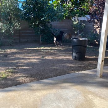 Vision Turf & Pavers - Before. - Artificial Turf Near Me - Orange, California Vision Turf & Pavers - Before. - Artificial Turf Near Me - Orange, California