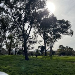 McInnis Park - Suns out Take a walk