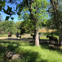 Pine Mountain Lake Equestrian Center - We offer guided trail rides May- October Weather dependent. Reservations are required.