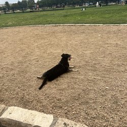 Willow Bend Dog Park - We always leave tired