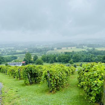 Bluemont Vineyard - Venues & Event Spaces Near Me - Bluemont, Virginia