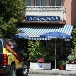 Il Pappagallo