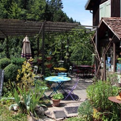 La Salamandre Verte - Terrasse fleurie !