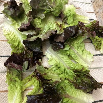 Ralphs - This is the good lettuce. - Grocery Near Me - Corona, California Ralphs - This is the good lettuce. - Grocery Near Me - Corona, California