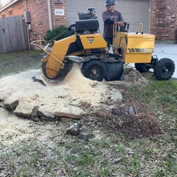 The J Team Tree Service - Tree Services Near Me The J Team Tree Service - Tree Services Near Me