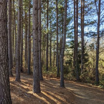 Carolina Thread Trail - Waxhaw - Hiking Near Me - Waxhaw, North Carolina